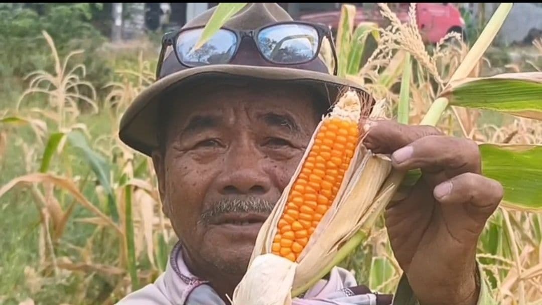 Foto Utama Berita